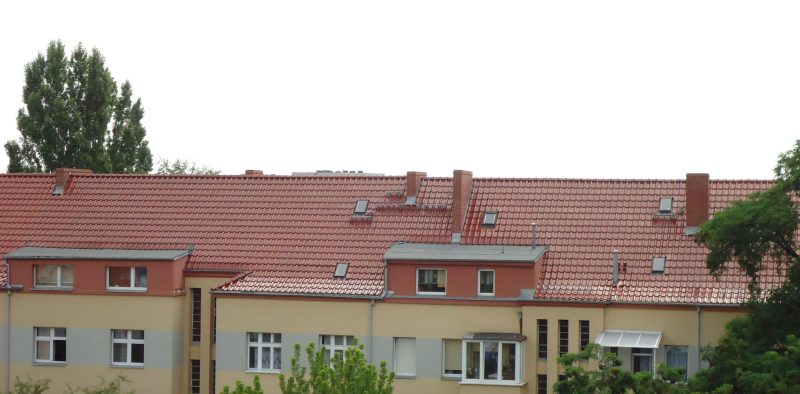 DSC00306