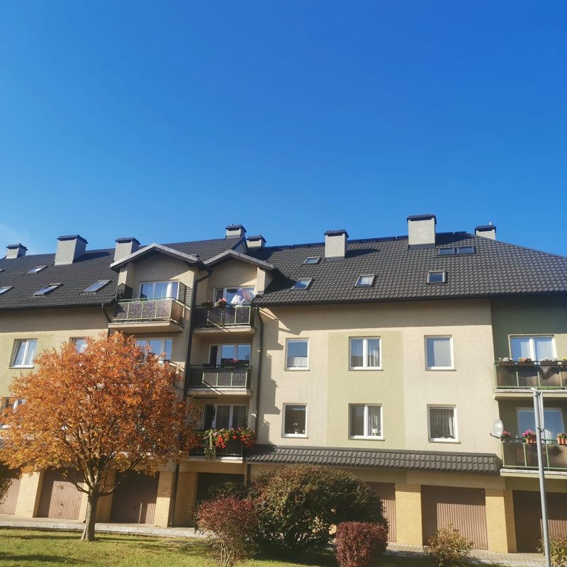 dachy-warzymice