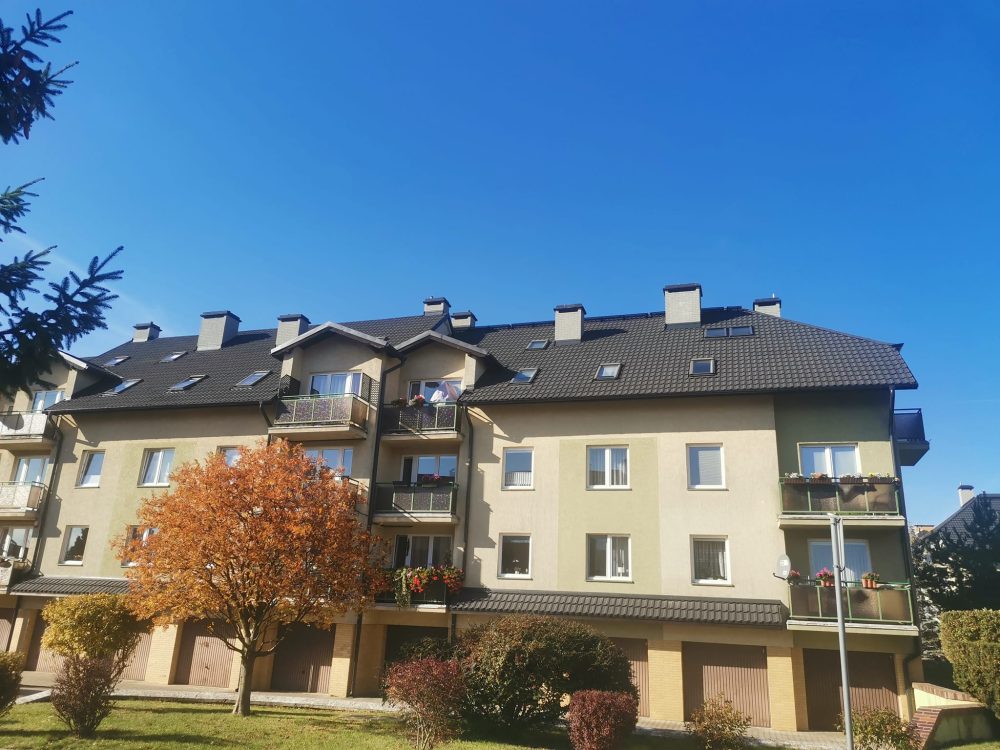 dachy-warzymice
